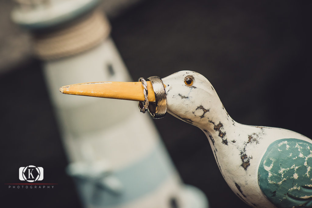 Elope to Ireland elopement in dublin ireland on a cliff rings on a wooden bird