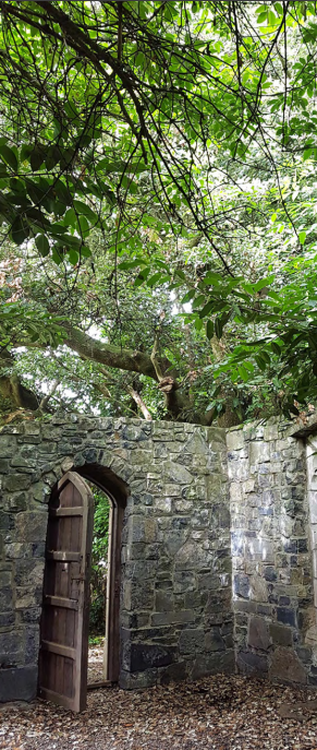 elope to ireland brochure