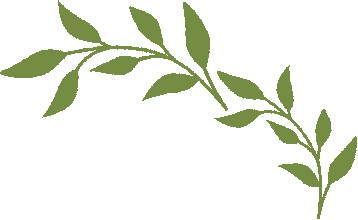 elope to ireland brochure